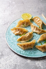 Close up of asian food dumpling gyoza on plate  on light surface
