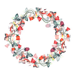 Wreath. Watercolor flower wreath. Watercolor frame of hand painted spring wild flowers and dragonflies.