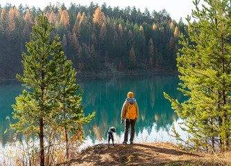 Young tourist woman with yellow backpack walking with mixed breed Bedlington Whippet dog in blue...