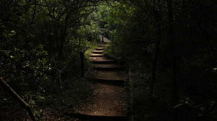 stairway to heaven forest tropical getaway dark path with wood stairs