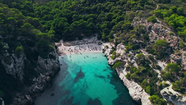 Aerial drone view of people having a good time by the beach with turquoise water. Tourists enjoy Cala Macarelleta and Macarella on the Balearic Islands, Spain, swimming and sailing yachts and boats.