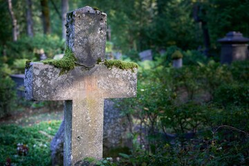 Closeup of a concrete cross covered in moss in an old cemetery
