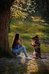 The girl and the German shepherd in the meadow