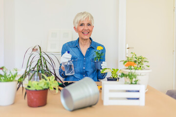 Happy female caring for house plant. Woman taking care of plants at her home, spraying a plant with pure water from a spray bottle