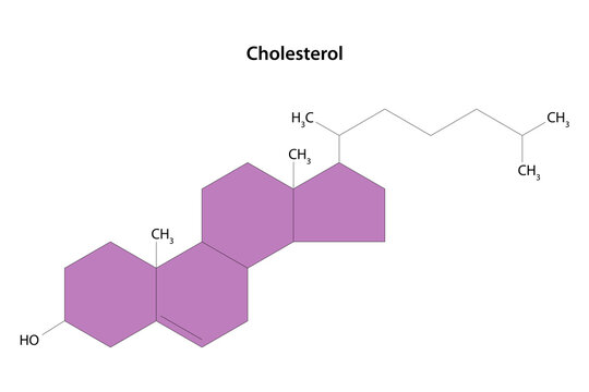 Cholesterol molecule. Structural formula. Essential component of cell membranes and precursor of steroid hormones.	
