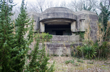 Un bunker della seconda guerra mondiale nascosto dalla vegetazione nell'area faunistica di Ca' Roman a Pellestrina
