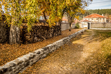 Golden street by the fallen leaves. Samokov, Bulgaria