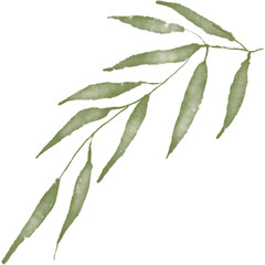 Leaf Elements and illustration