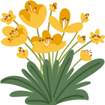 Yellow blossom Elements and illustration