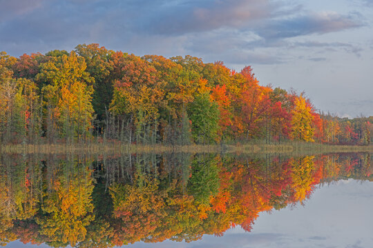 Autumn landscape of the shoreline of Deep Lake at sunrise with mirrored reflections in calm water, Yankee Springs State Park, Michigan, USA © Dean Pennala