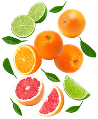 flying exotic fruits. lime, grapefruit and orange fruit isolated on white background. clipping path