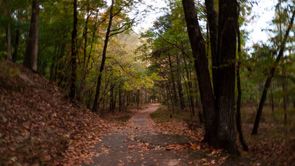 Devils Den State Park, Northwest Arkansas,  hiking trail