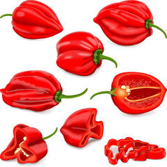 Set with whole, half, quarter, slices, and wedges of Red habanero chili peppers. Capsicum chinense. Hot chili pepper. Fresh organic vegetables. Vector illustration isolated on white background.