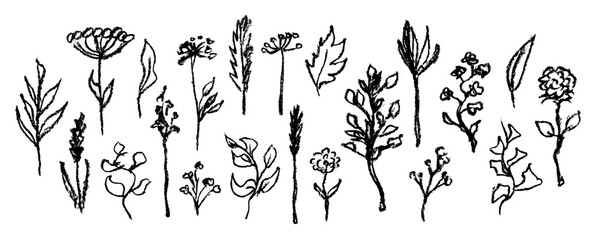 Charcoal grunge plants doodles set. Coal pencil floral sketches. Grunge flowers, leaves and branches collection. Charcoal pencil scribbles.