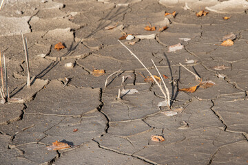 Dry soil and yellow grass in the cracks, natural background, hot climate. Drought land without...