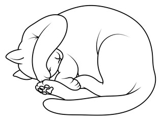 The cat is sleeping. Isolated illustration of a cat. Pet.