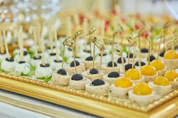 Assorted canapes and various delicacies on the festive table. Snacks for guests at the event.