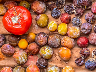Many rotten small and big tomatoes, fruits, prunes and grapes