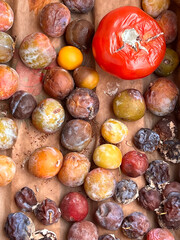 loose sale, rotten fruits and vegetables. Over the expiry date