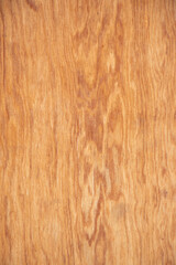 Texture of wood background closeup