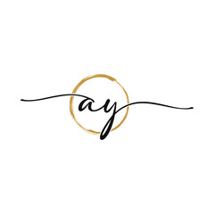 Letter A Y Initial Beauty Logo Template