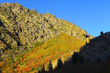 Big Cottonwood Canyon - coloful forest in Autumn, Lake; Salt Lake City - Utah