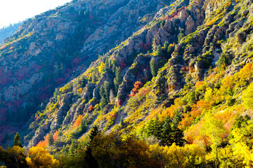 Big Cottonwood Canyon - Maple forest in Autumn, Lake; Salt Lake City - Utah