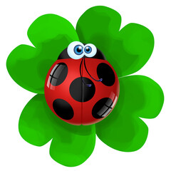 Fototapeta premium coccinella sul quadrifoglio