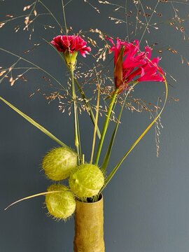 Swan plant, African milkweed, ballon plant and purple carnation flower in green ceramic vase against petrol blue wall.