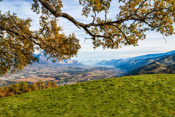 Pressembois France 11 2021 photo of the oak of Venon this tree of more than 300 years is labeled remarkable tree of France