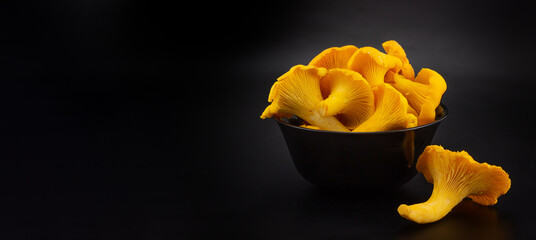 Fresh Golden Chanterelles mushrooms in a black ceramic bowl on black panoramic background with copy space. Orange mushrooms in a black cup