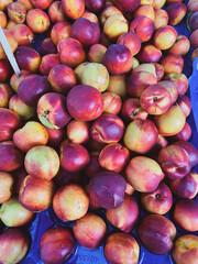 close up of a pile of apples