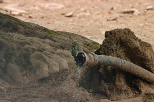 Closeup Shot Of A Rusty And Dirty Water Supply Pipes