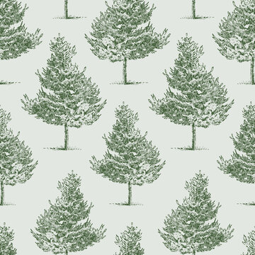 Seamless background of sketches fir trees