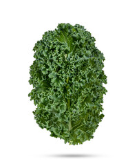 Fresh kale isolated on transparent background (.PNG)