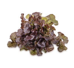 Fresh lettuce isolated on transparent background (.PNG)