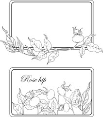 vector frame framing border line art of leaves and berries