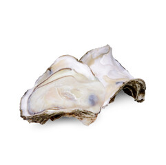 Oyster isolated on transparent background (.PNG)