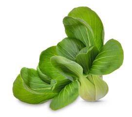 Pok Choi isolated on transparent background (.PNG)