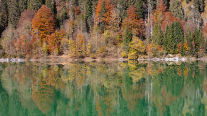 Bäume im Herbst spiegeln sich im See