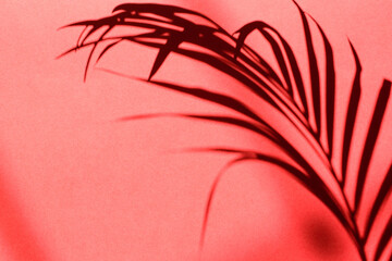 Palm Leaf Shadow Sunlight On Beautiful Abstract Red Wall Background Texture