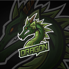 Dragon Icon Logo Vector Illustration