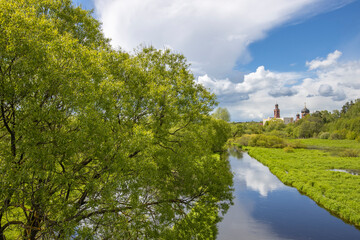 Obraz premium Rural landscape, bright May greenery, sunny day. Trees and bushes by the river.
