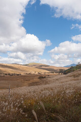 長野県諏訪市の霧ヶ峰湿原
