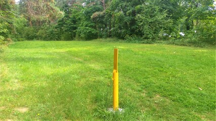An underground gas pipeline is laid through a forest clearing overgrown with grass. Yellow poles are set up to mark the place where it is laid. Mixed forest and bushes grow along the clearing © Balser