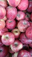 red and white onions