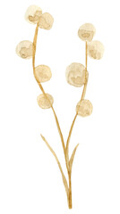 watercolor dried flowers isolated on white background. Hand drawn wildflowers illustration. Flower clipart. Autumn design to fashion fabric, textile, cover, wrapping paper product, blog, cloth