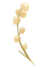watercolor dried flowers isolated on white background. Hand drawn wildflowers illustration. Flower clipart. Autumn design to fashion fabric, textile, cover, wrapping paper product, blog, cloth