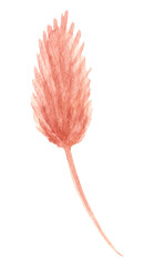 watercolor dried flowers isolated on white background. Hand drawn wildflowers illustration. Flower clipart. Autumn design to fashion fabric, textile, cover, wrapping paper product, blog, cloth