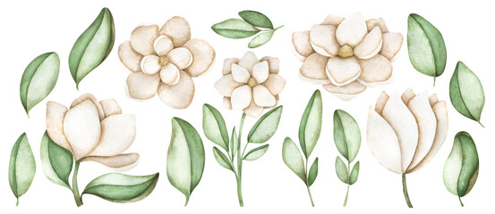 Delicate watercolor set with white magnolia. Tender flowers, leaves and branches for creative design